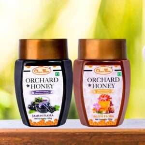 Orchard Jamun & Multi Flora Honey 100Gm Combo Pack of 2