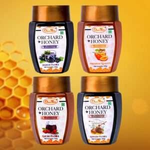 Orchard Honey Combo Pack Jamun Ajwain Lychee & Premium 100Gm Pack of 4