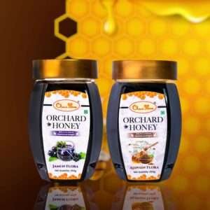 Orchard Jamun & Ajwain Flora Honey 250Gm Combo Pack of 2