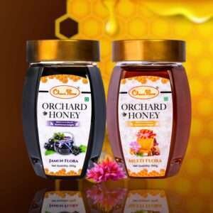 Orchard Jamun & Multi Flora Honey 250Gm Combo Pack of 2