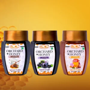 Orchard Honey Combo Pack Jamun Multi & Ajwain 100Gm Pack of 3