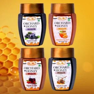 Orchard Honey Combo Pack Jamun Ajwain Lychee & Premium 100Gm Pack of 4